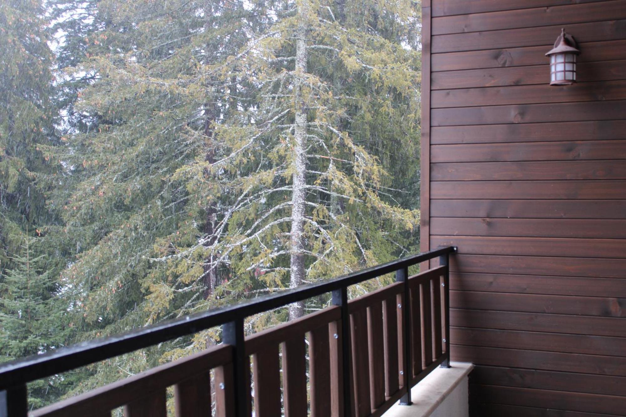 Mountain Studio Asp E63 Borovets Gardens Bagian luar foto