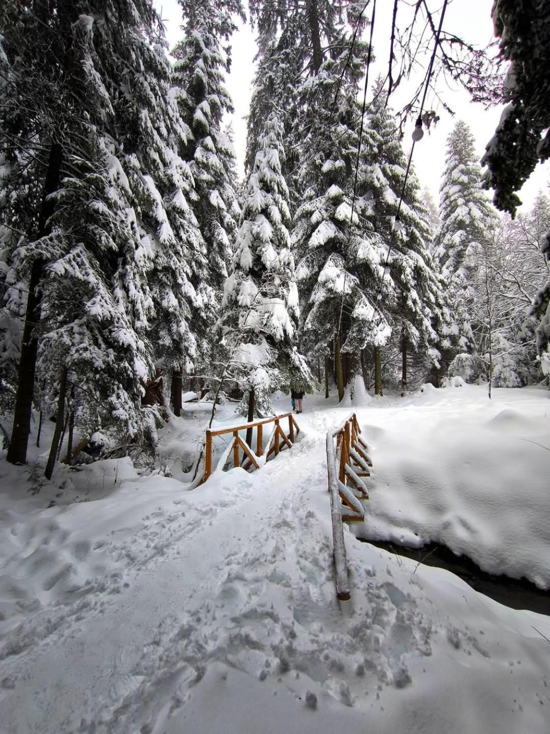 Mountain Studio Asp E63 Borovets Gardens Bagian luar foto